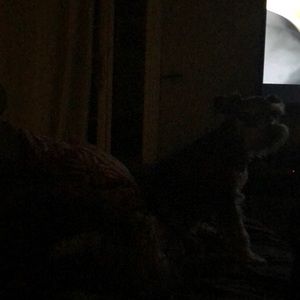 Meet your Posher, Brenda